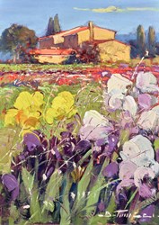 Mente Pacifica by Bruno Tinucci - Original Painting on Stretched Canvas sized 14x10 inches. Available from Whitewall Galleries
